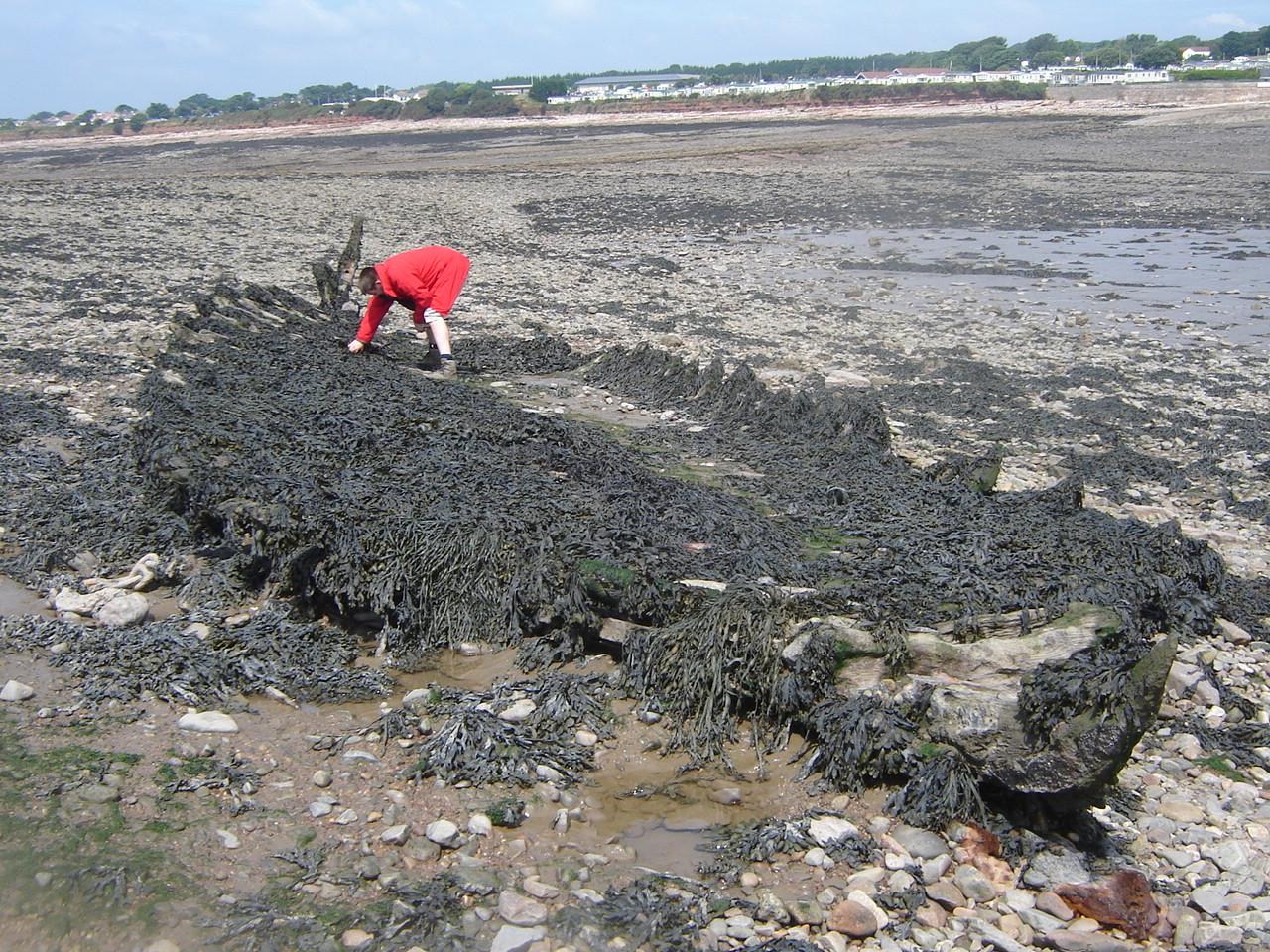 Remains of an unknown wreck on Sully Island, near Barry